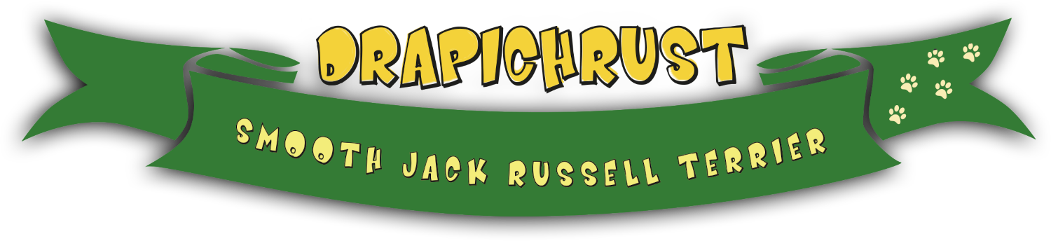 Logo Drapichrust